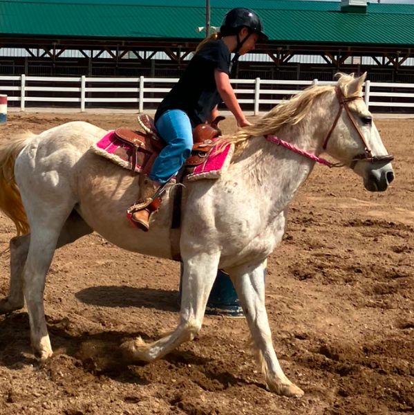 Person riding a white horse in an arena.