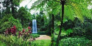 Atherton Tablelands waterfalls transfer with Cairns Transport Luxury Limousines private tour