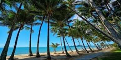 Palm Cove Cairns Transport Luxury Limousines transfers