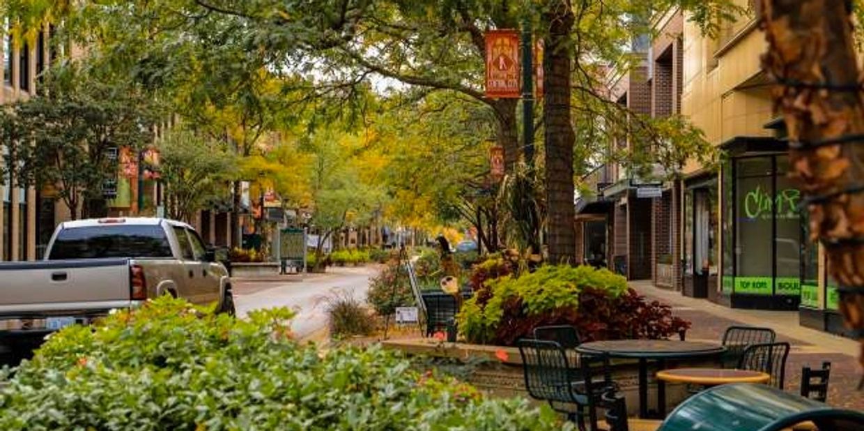 Quiet urban street with greenery and parked vehicles.