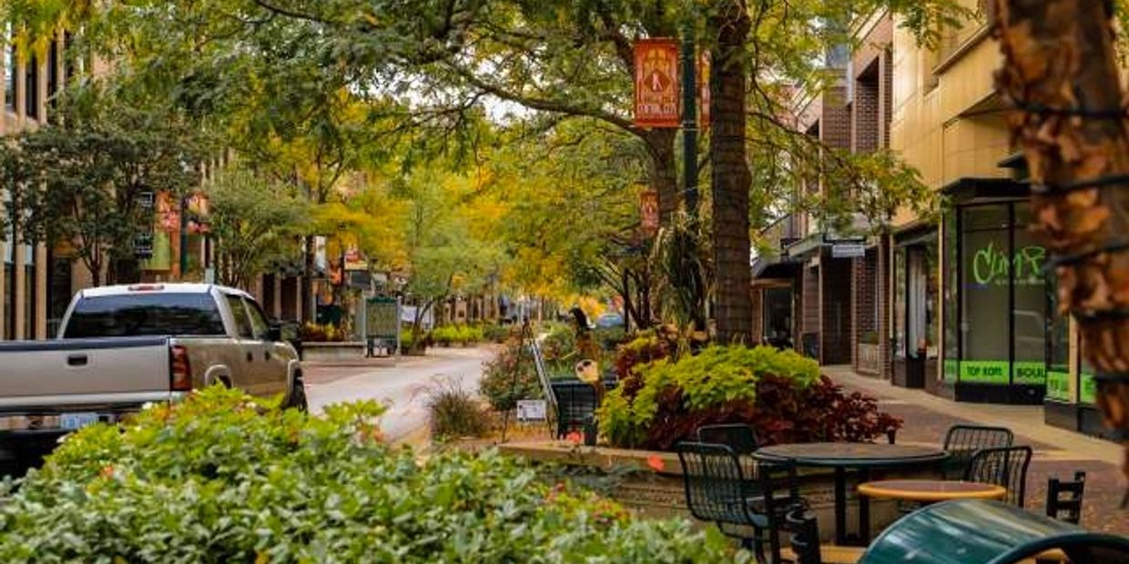Quiet urban street with greenery and parked vehicles.