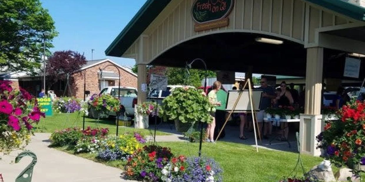 Outdoor plant sale under a pavilion on a sunny day.