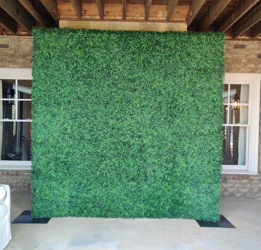 8ft Tall x 8ft Wide Boxwood Wall Backdrop