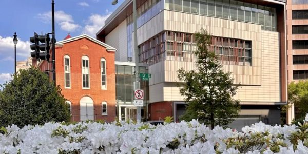 White flowers in front of urban buildings.