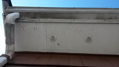 This aluminum gutter is heavily stained with dirt, grime and black algae. 