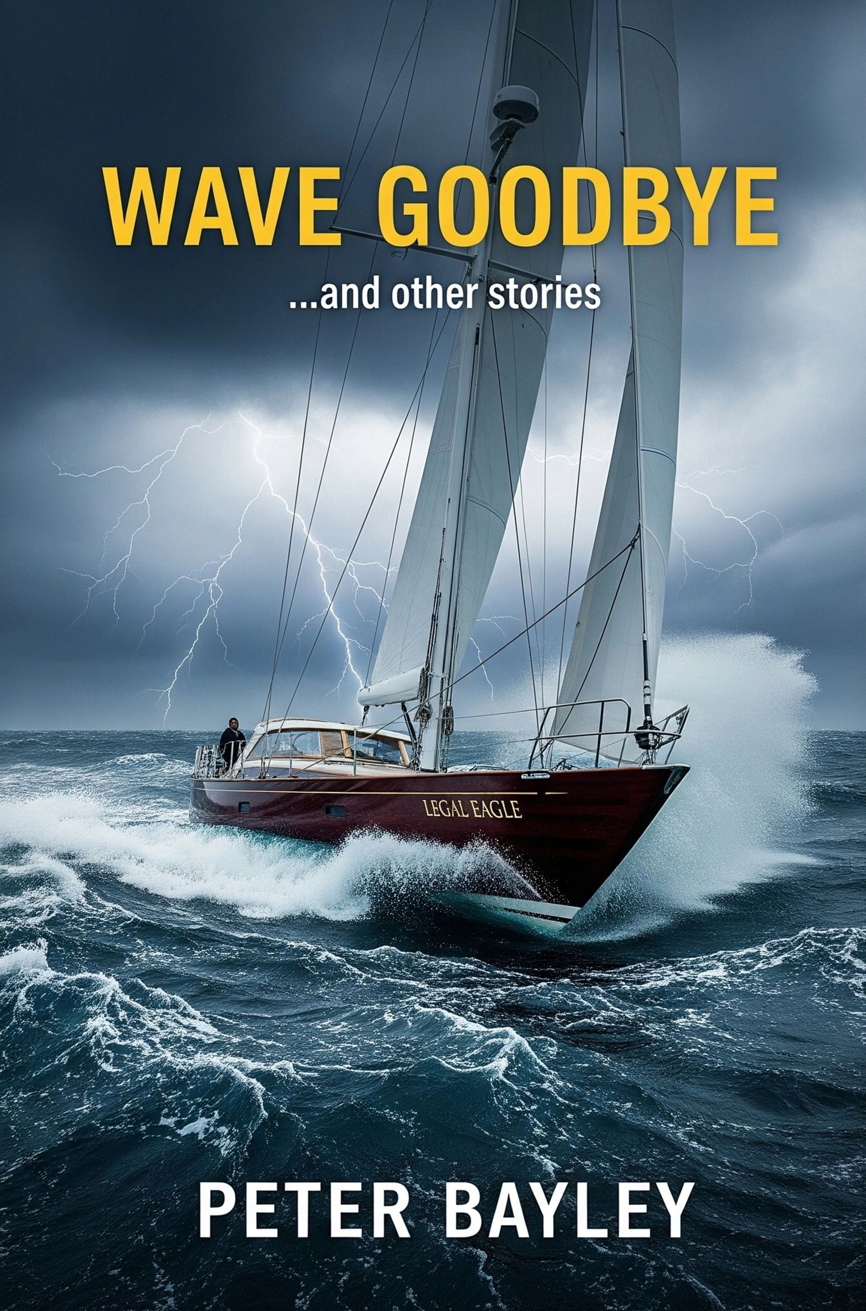 Cover of Wave Goodbye