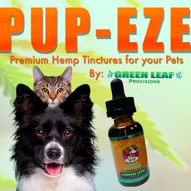 A black and white dog with his cat friend on top of his head , with 1000mg pup-eze pet tincture 