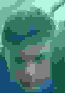 image366