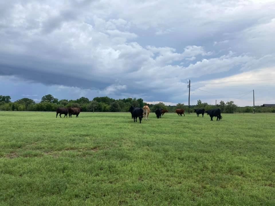 Terrace Ridge Farm, LLC photo 6