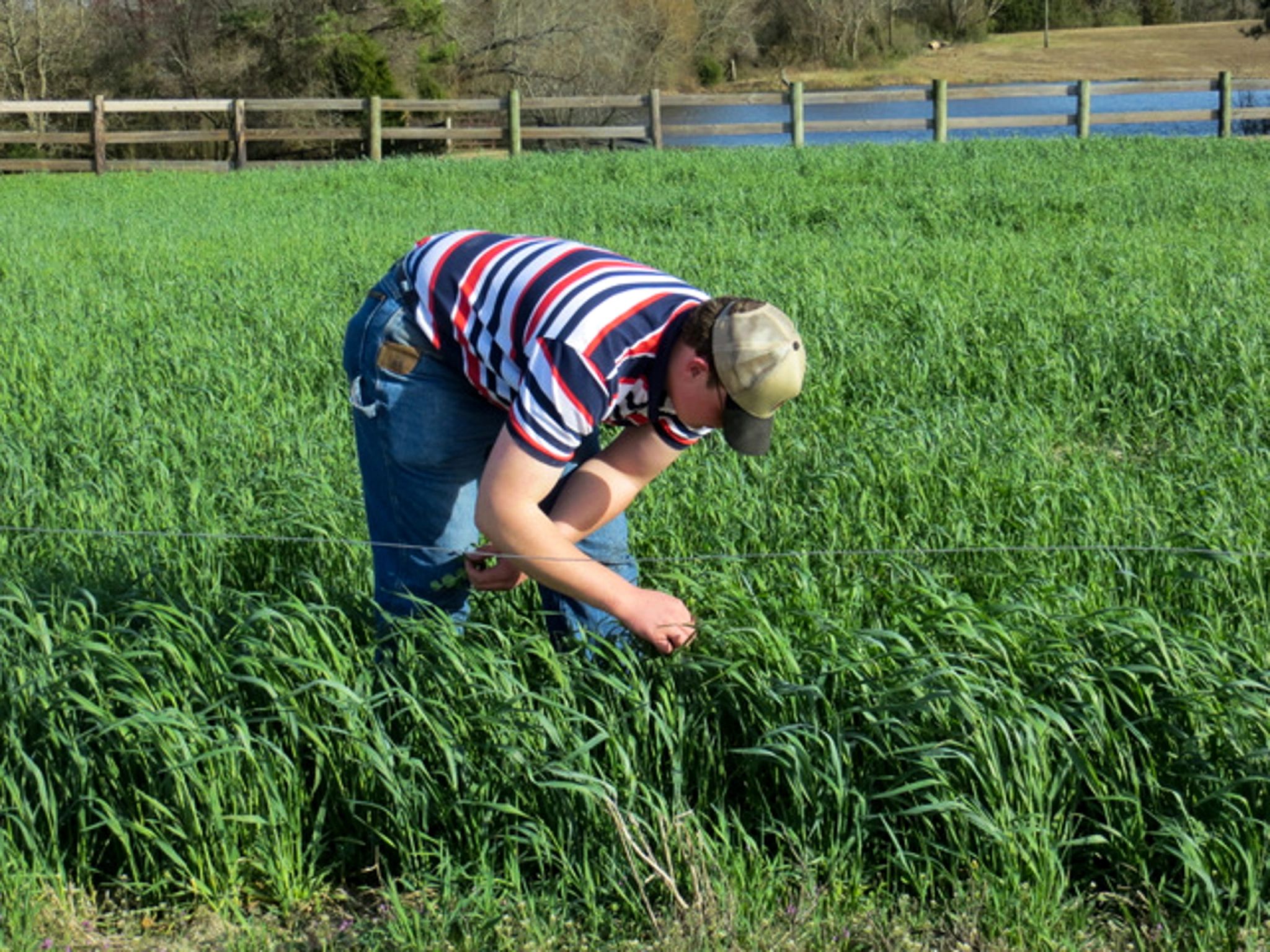 SOIL SCIENCE 101 visual data 8