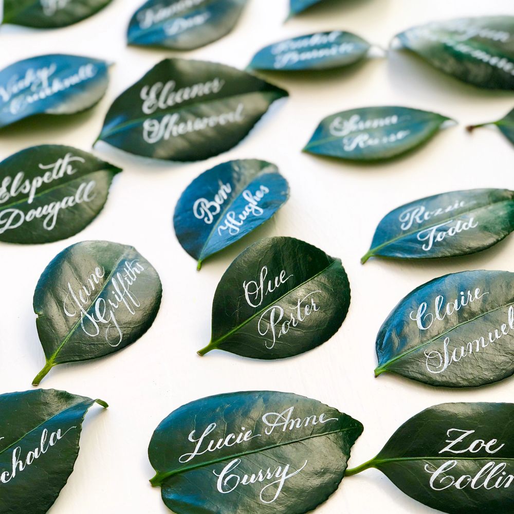 Green leaves with elegant white calligraphy names on them.