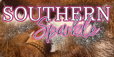 Southern Sparkle Clothing Wholesale