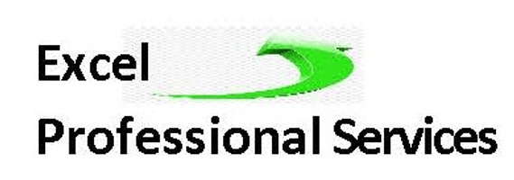 Excel Professional Services