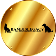BAMBISLEGACY 