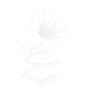 Bloom Productions