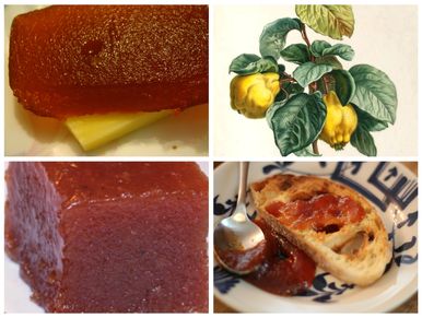 A Taste of History with Joyce White: Tutti-Frutti Brandy Preserves, A  Maryland's Way Recipe