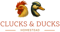 Clucks & ducks Homestead