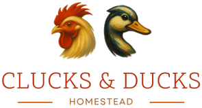 Clucks & ducks Homestead