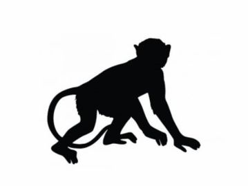 Silhouette of a monkey.