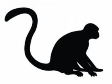 Silhouette of a monkey with a curled tail.