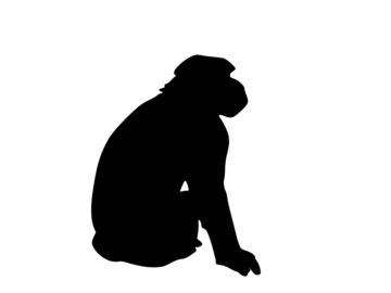 Silhouette of a sitting monkey.