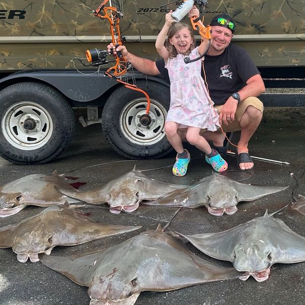 Bowfishing for Cownose Stingrays Potomac River