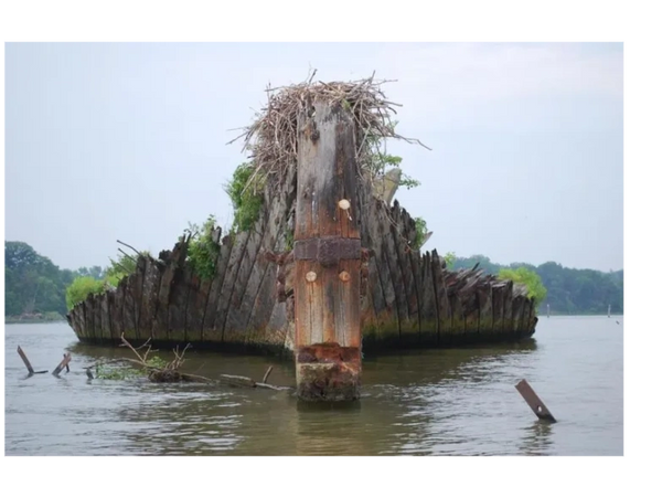 Mallows bay ghost fleet
