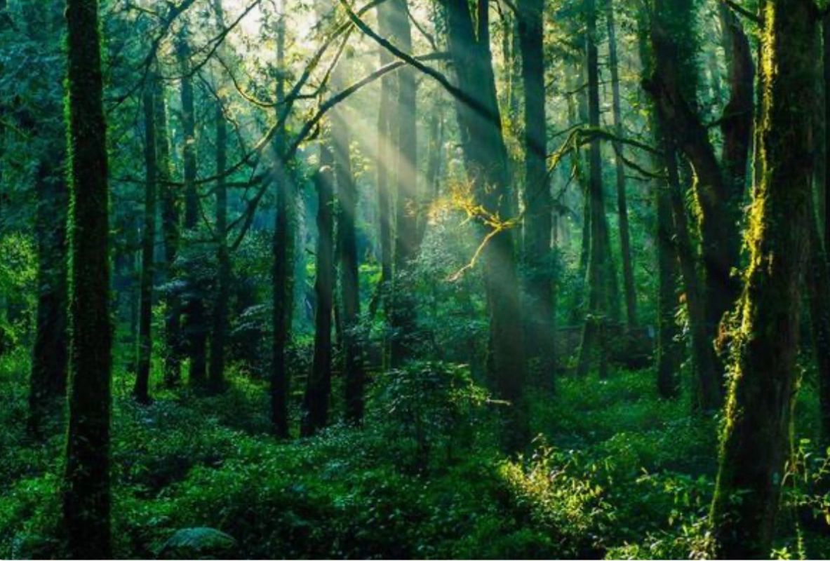 The beauty in nature.  Serenity/