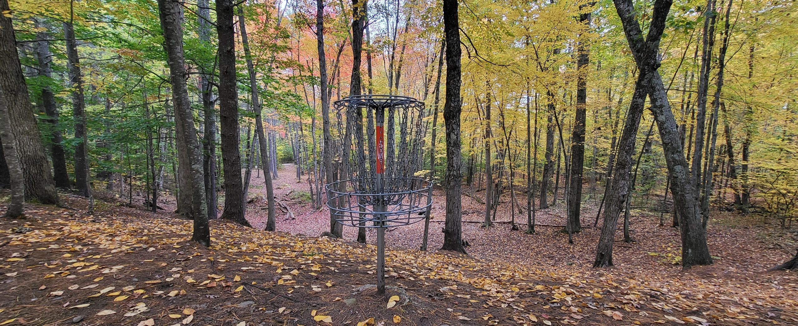 a disc golf basket midway down a hill with leaves on the ground during autumn