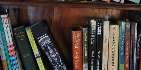bookshelf with variety of books, summer rising 