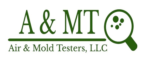 A&MT