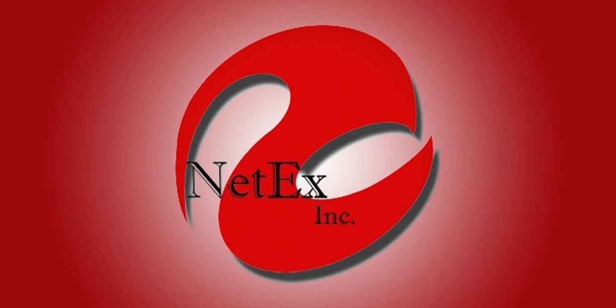 NetEx Inc. Red Logo