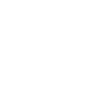 Lam Interiors Group
