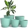 Great set of pots for indoor and outdoors!