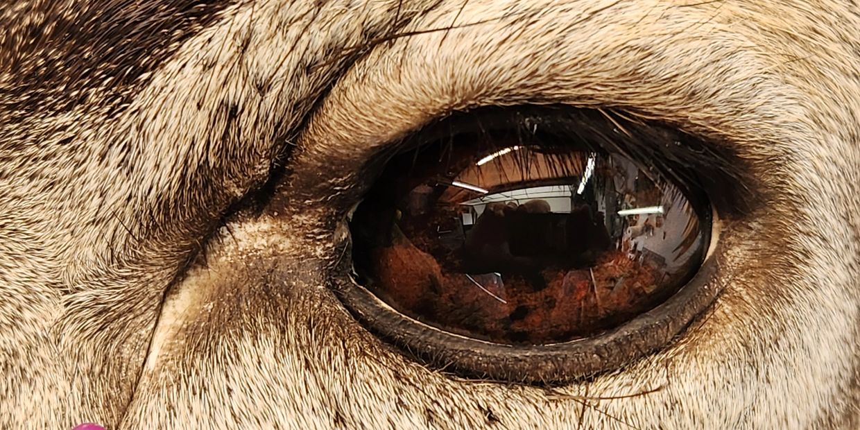 Impeccable detail.