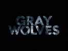 Gray Wolves