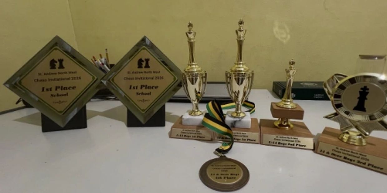 A collection of chess trophies and medals showcasing various wins.