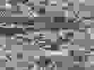 image824