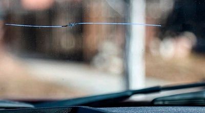 Windshield Repair and Replacement Cave Creek