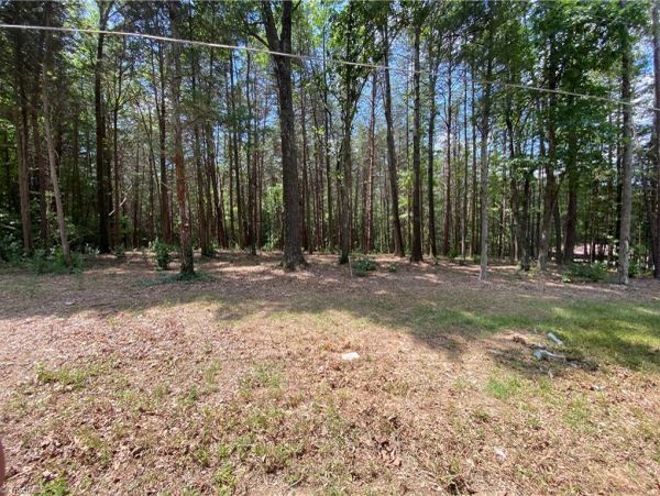 Cleared patch of land next to a forest under sunlight.