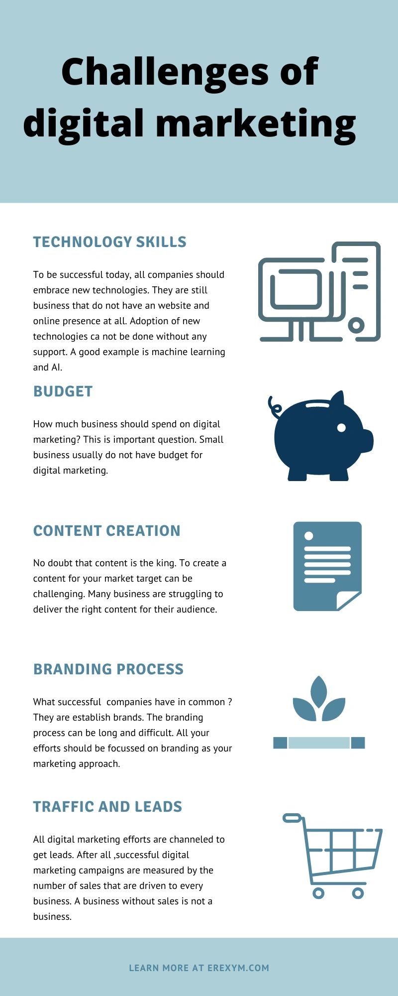 Digital Marketing Overview: Types, Challenges & Required Skills