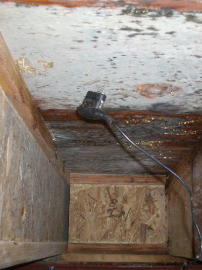 Moisture probe in subfloor located in a crawlspace.