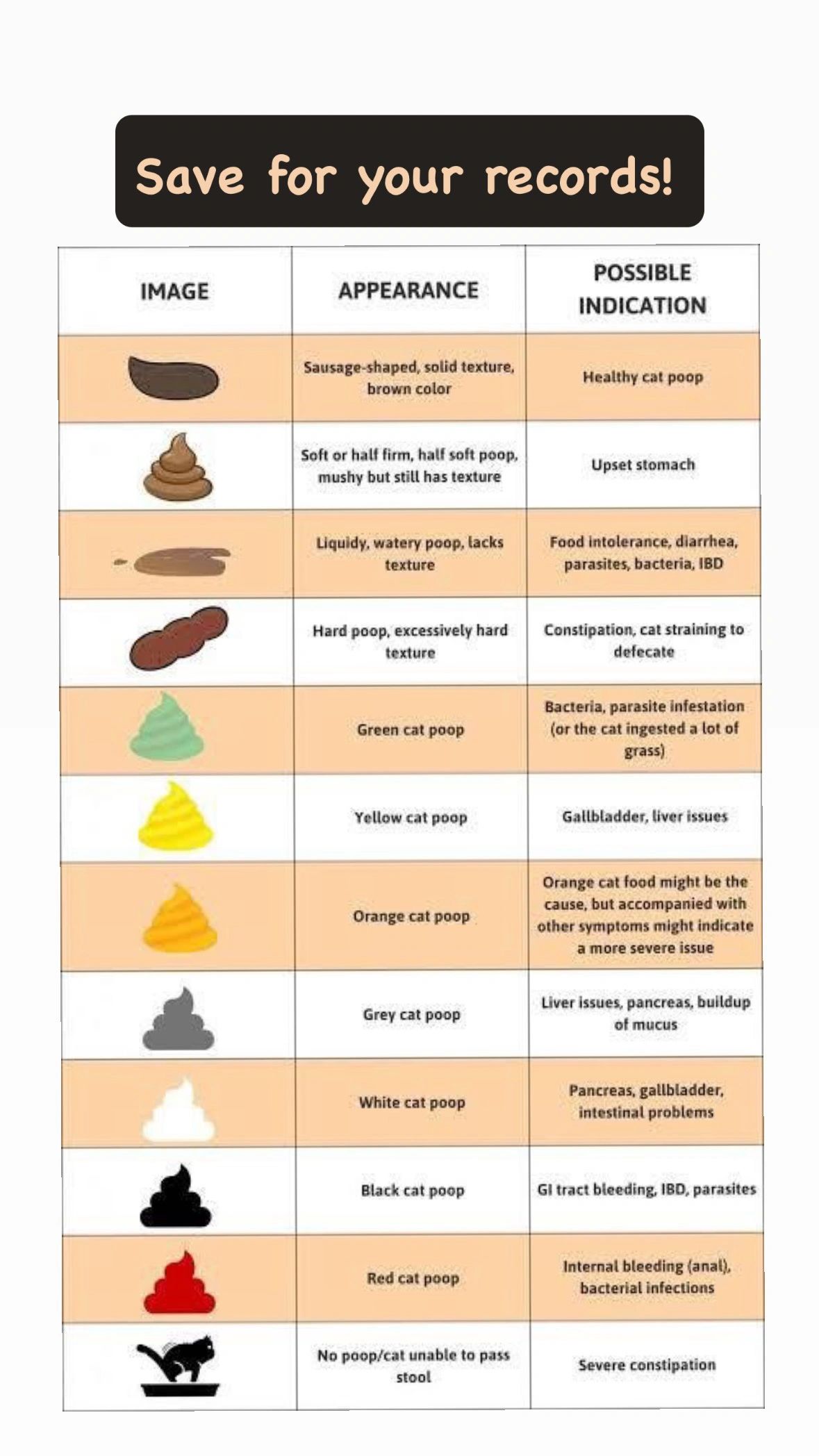 Cat Poop Color Chart