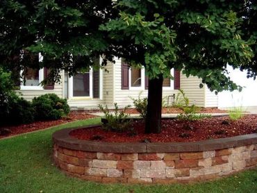 Tree in a raised stone garden bed near a house.