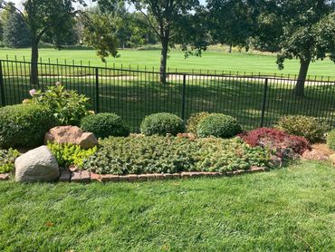 A well-maintained garden bed in a backyard near a fence.