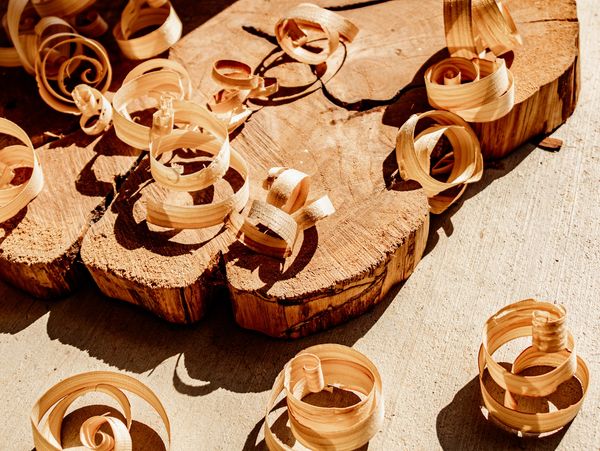Curled wood shavings on a wooden surface in warm sunlight.