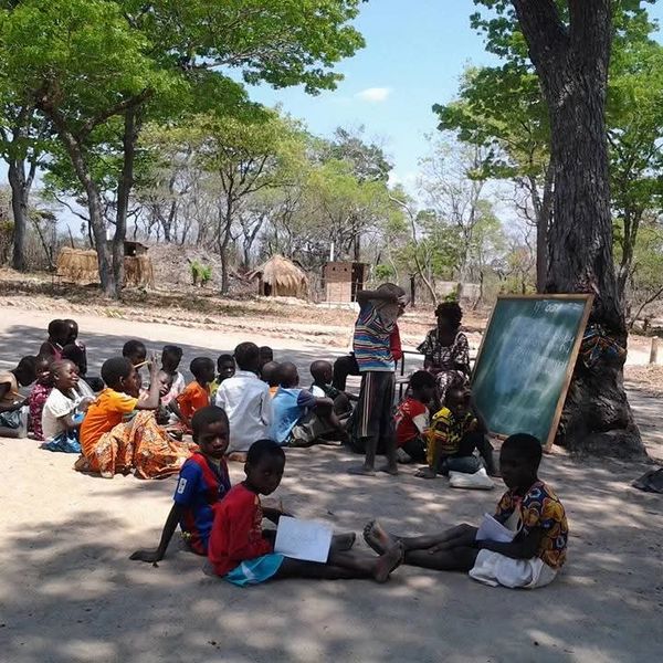 Children attending an outdoor class under a large tree with a chalkboard.