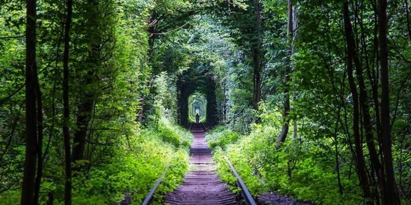 Take the journey and discover something new.
