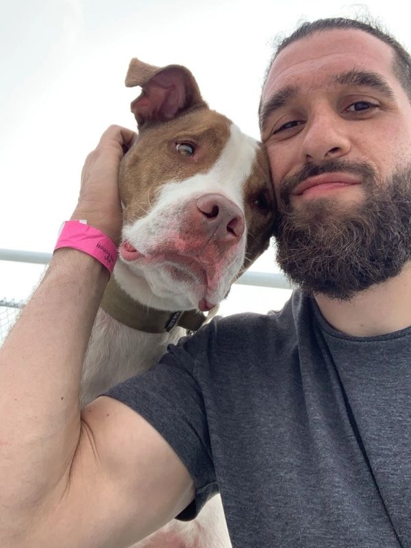 Man with beard taking a selfie with a brown and white dog.