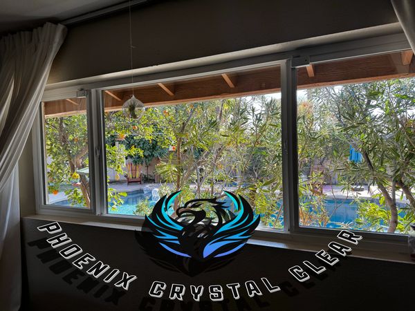 Window view of backyard with pool and trees.